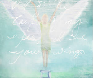 Angel wings