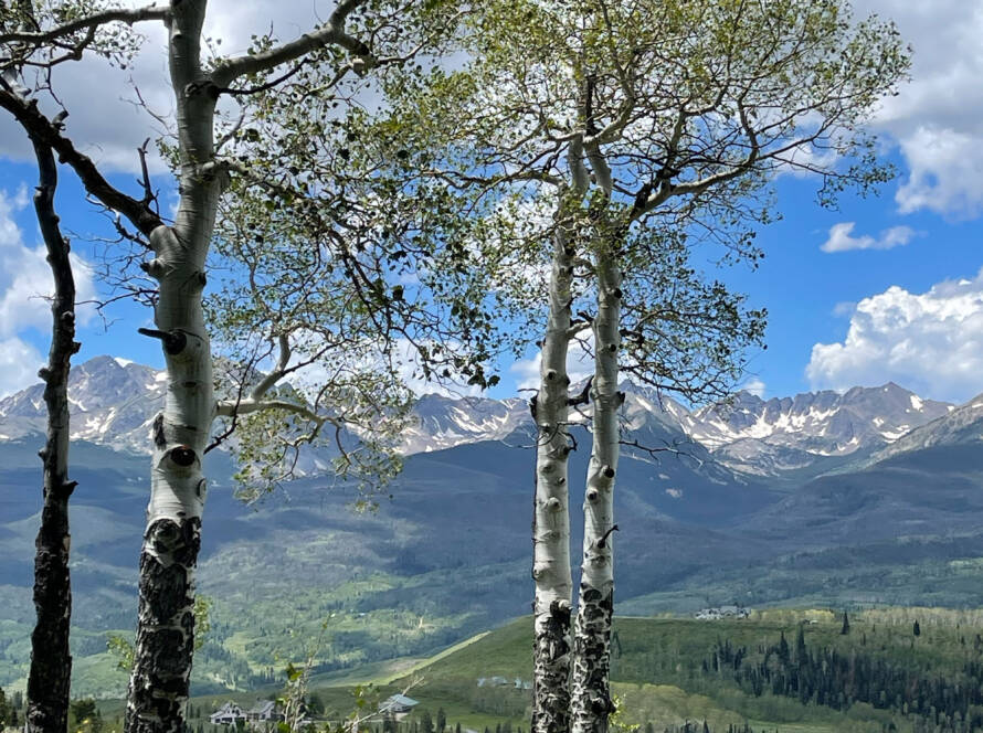 colorado summer